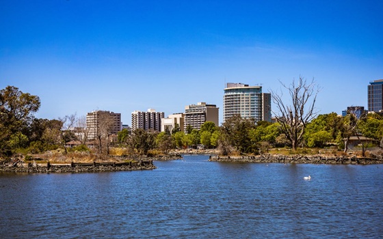 Nullam id dolor elit id nibh